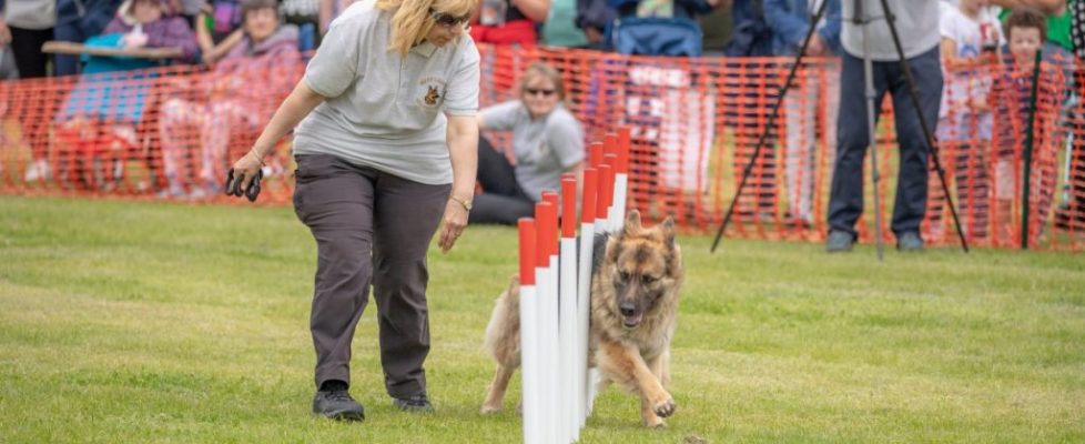 Prescot Carnival 2019-41