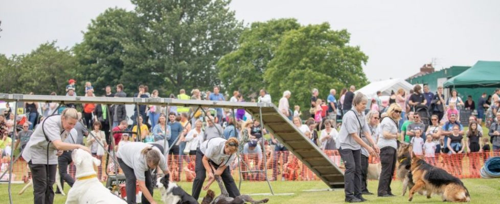 Prescot Carnival 2019-61