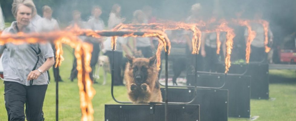 Prescot Carnival 2019-82